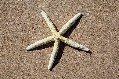 《审判之眼》系列最新作《审判之逝：湮灭的记忆》WEB CM公开！ 